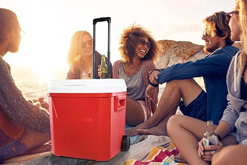 Miniatura 6 de Mango telescópico para enfriador, compatible con hieleras Igloo Ice Cube y Latitude de 60 cuartos de galón, piezas de repuesto para enfriador de