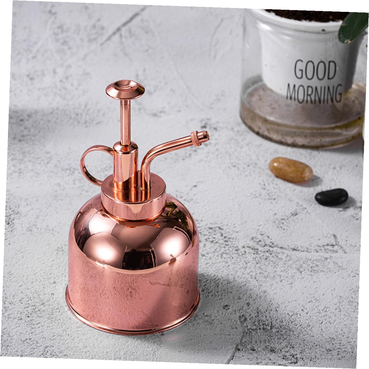 INOOMP Vintage Edelstahl Pflanzenspritze 300ml Roségold Kleine Gießkanne Mit Sprühpumpe Für Zimmer Und Gartenpflanzen Luftbefeuchtung Blumenpflege Terrassenbewässerung
