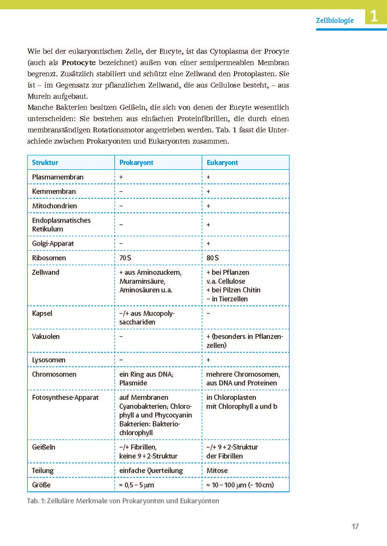 Klett Sicher im Abi Biologie: Das komplette Oberstufen-Wissen (Klett Sicher im Abi / Oberstufen-Wissen)