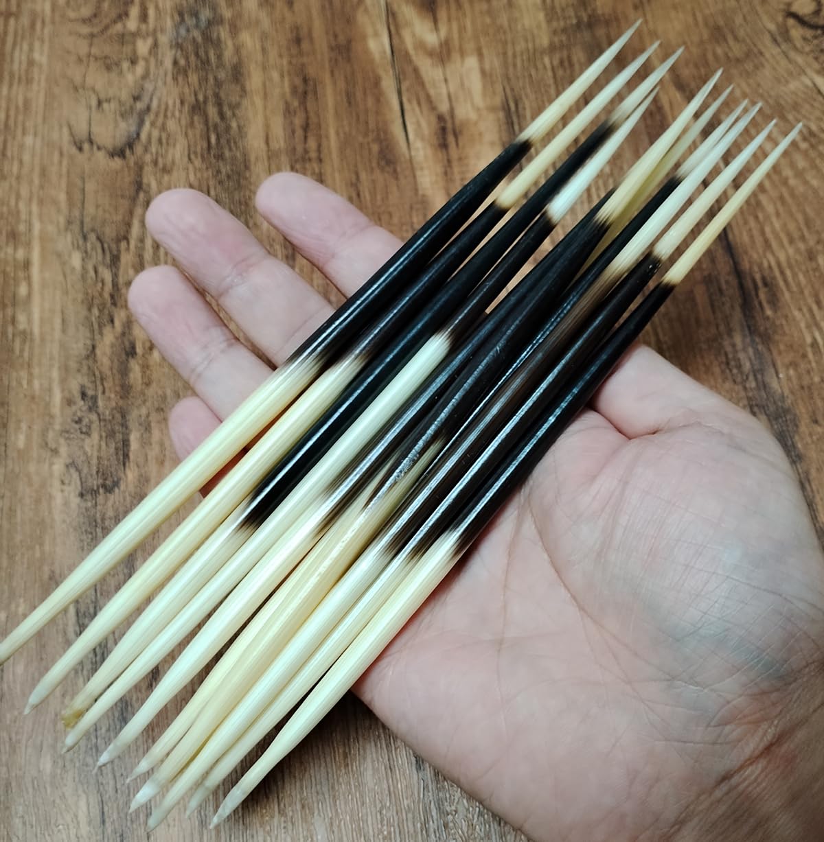 10 pcs African Porcupine Quills Hair Stick Indian Crafts Accessories Fishing Buoy DIY Natural Bone Jewelry Crafting Art (7.8~8.2 Inches)
