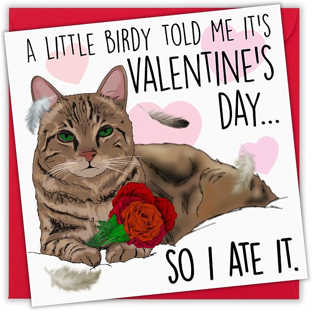 NotNiceThings Cat - Funny Valentine's Day Card for Him & Her - Hilarious and Relatable, Unique and One-of-a-kind, Perfect for Boyfriend, Husband, Girlfriend, and Friends