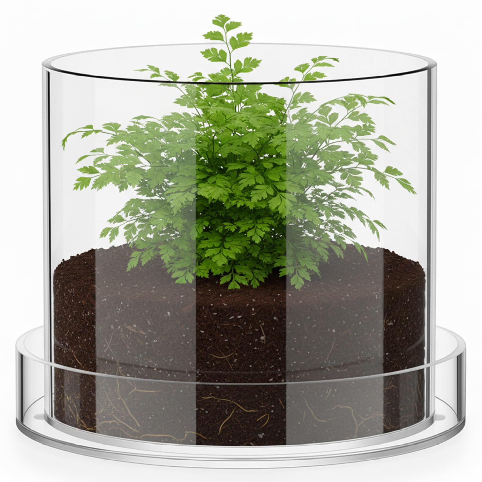 Grsrkep Transparent Clear Pots For Plants, 6 Inch Clear Nursery Pots With Drainage And Saucer Acrylic Naked Root Planter For Orchids, Herbs, Seedlings, And Home Decor