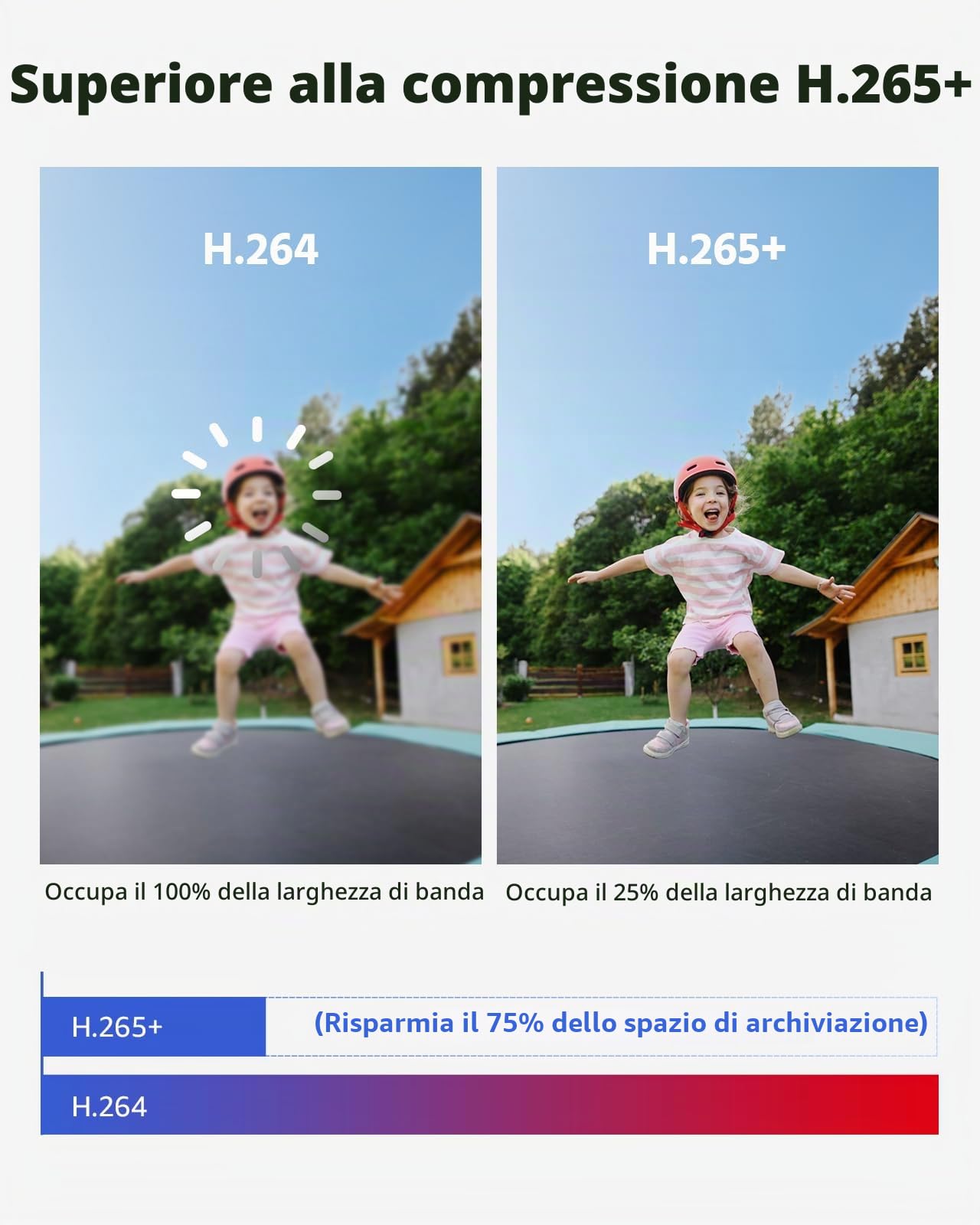ANNKE 1080P Kit Videosorveglianza 16 Canali 3K Lite H.265+ DVR, 12 Telecamere con Visione Notturna a Colori, Rilevamento Persone/Veicoli, Allarme Email con Immagini, Accesso Remoto, Senza Disco Rigido