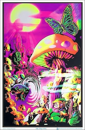 Miniatura 5 de Póster de Magic Valley Blacklight