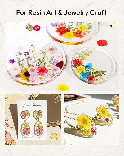 Vista 72 de Resiners - Flores secas, 100 piezas de flores prensadas para manualidades, color amarillo, flores secas naturales, kit de hojas secas