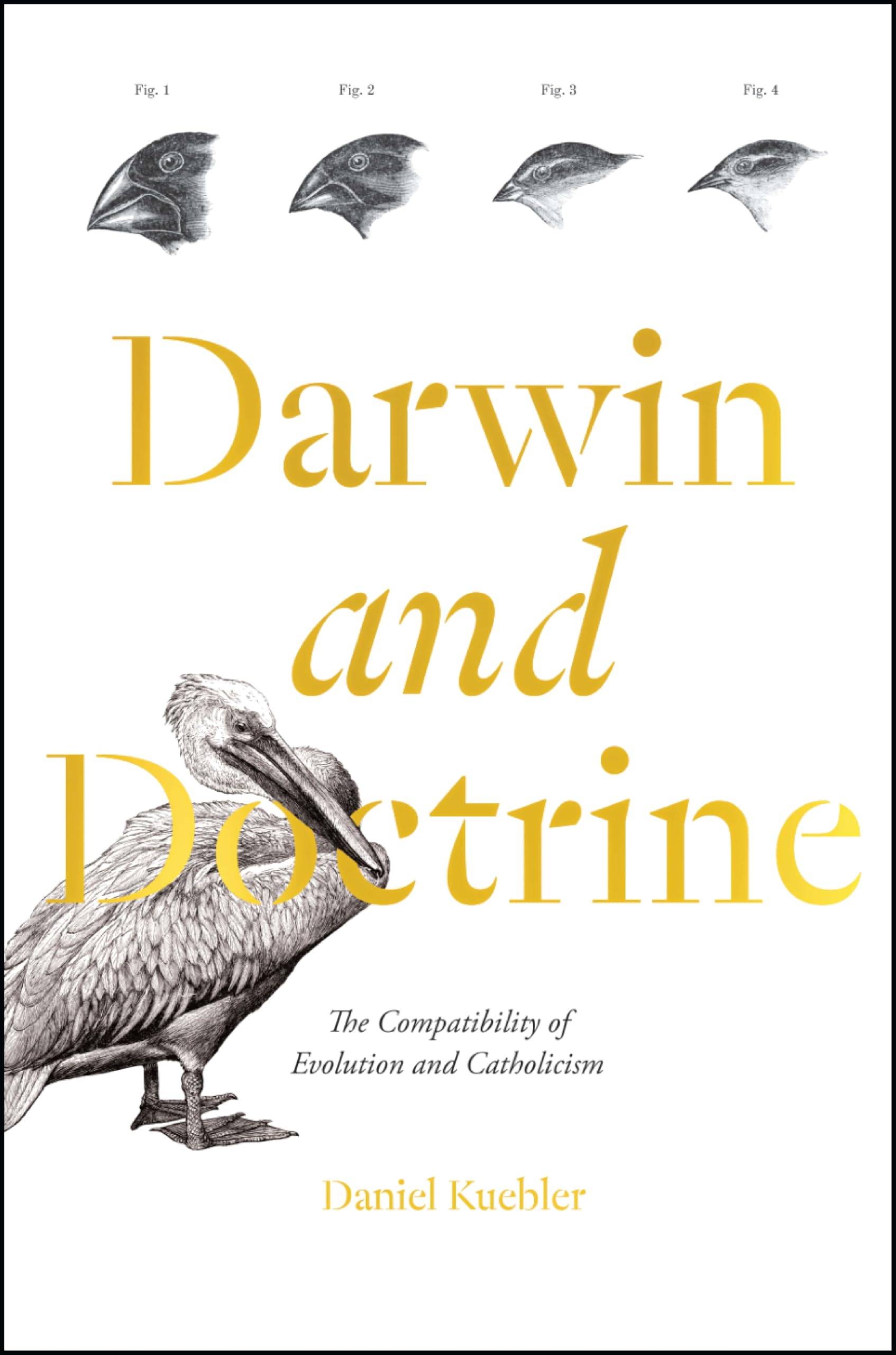 Darwin and Doctrine: The Compatibility of Evolution and Catholicism