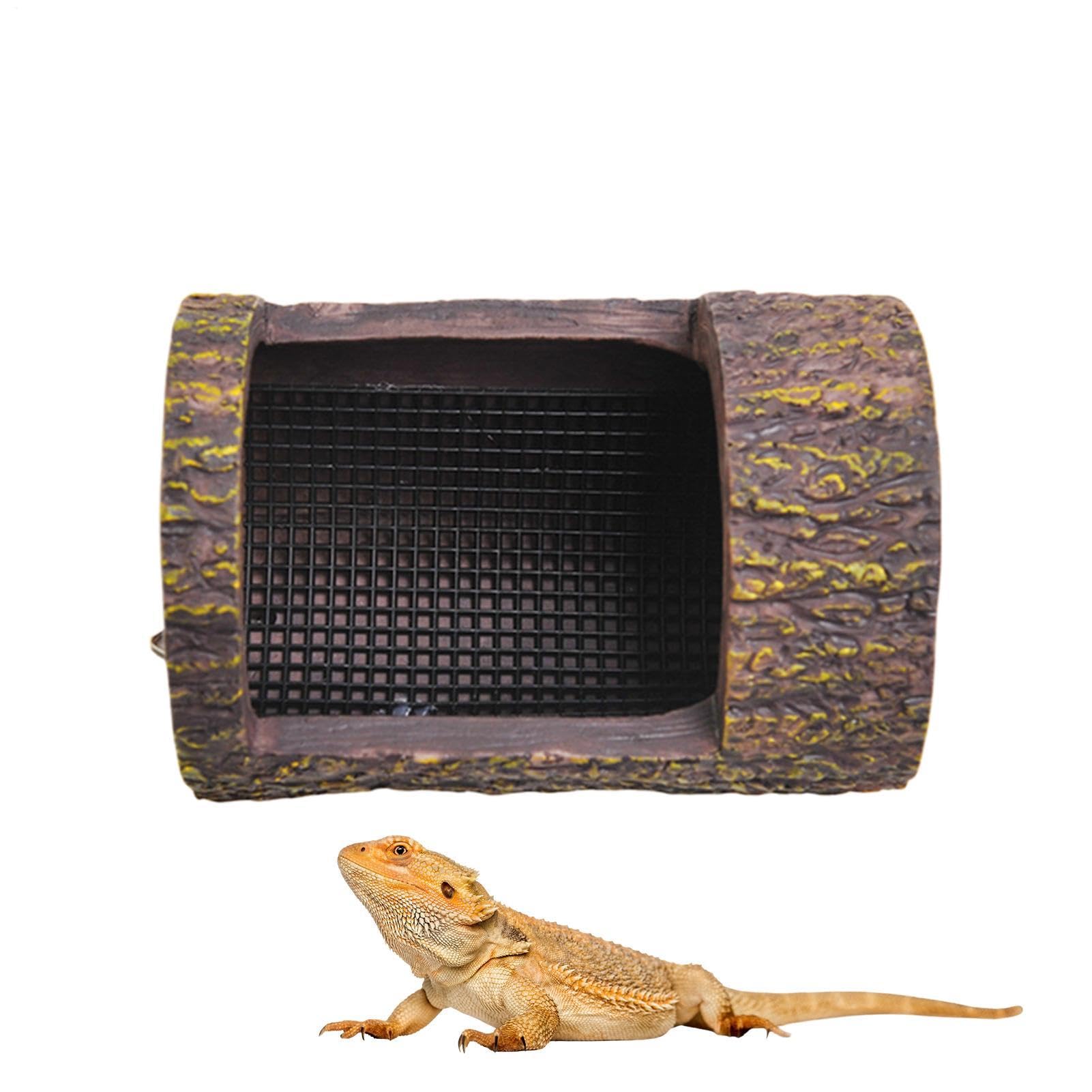 Gamelle nourriture gecko terrarium lézard grenouille caméléon
