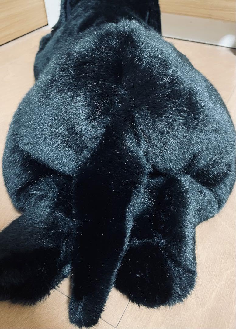 Amazon.co.jp: 四季 オリジナル ラブラドール レトリーバー 黒ラブ