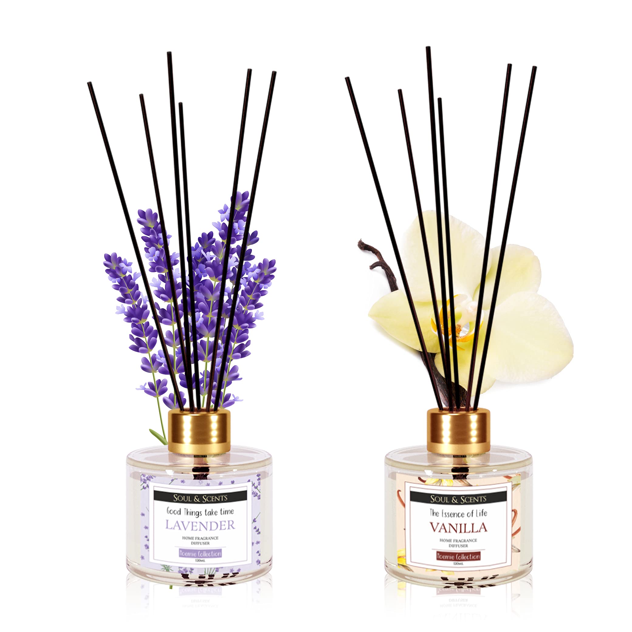 Soul & Scents Lavender and Vanilla Reed Diffuser Set - 120ml with Free 6 Fiber Reed Sticks Each | Toxin Free & Stress Relief | Long Lasting | Room Freshener for Home, Bedroom & Office| Combo Pack of 2
