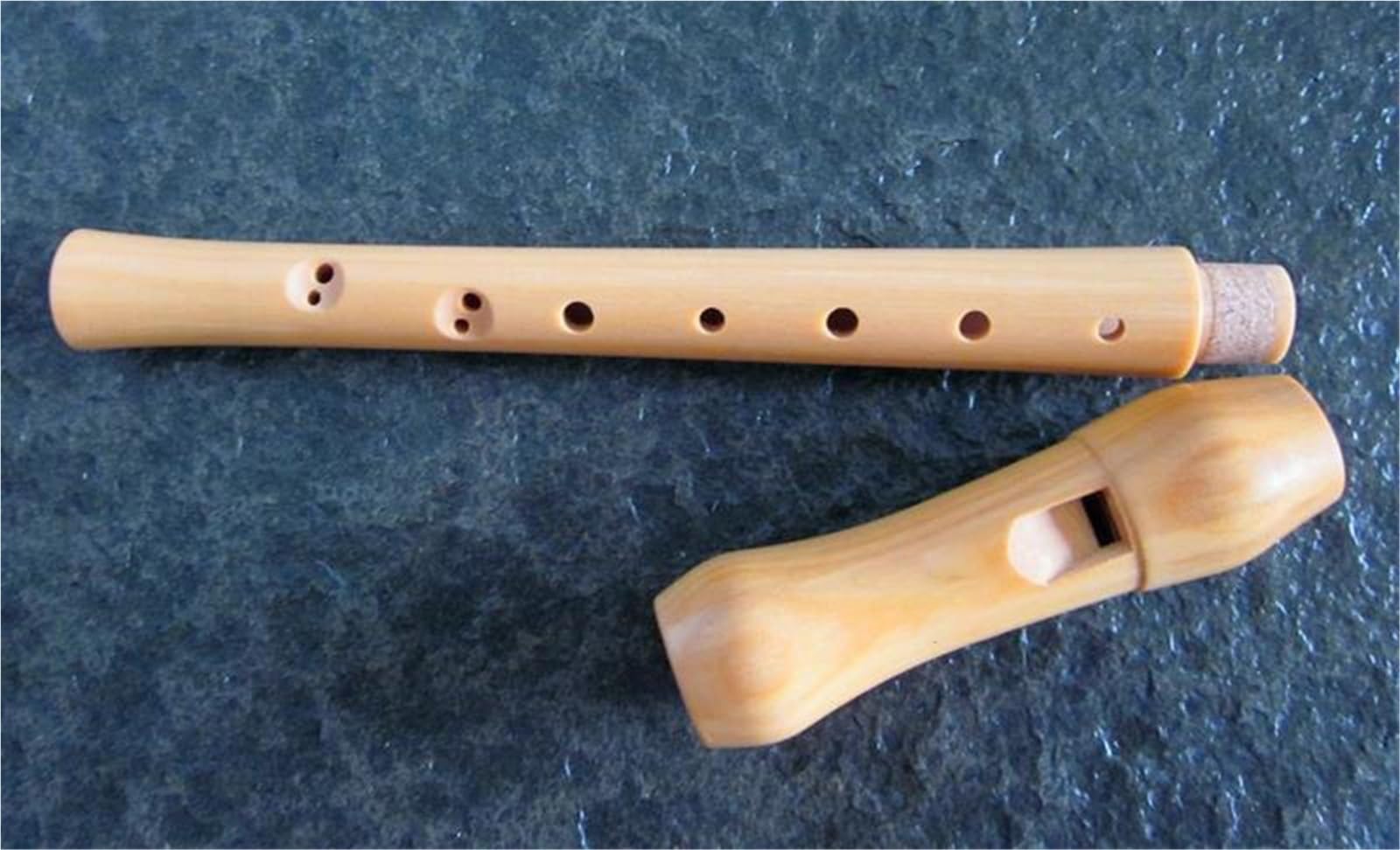 Professionelle 8-Loch-Altblockflöte Aus Holz (Tonart C) Inklusive Tragetasche Holzblockflöte