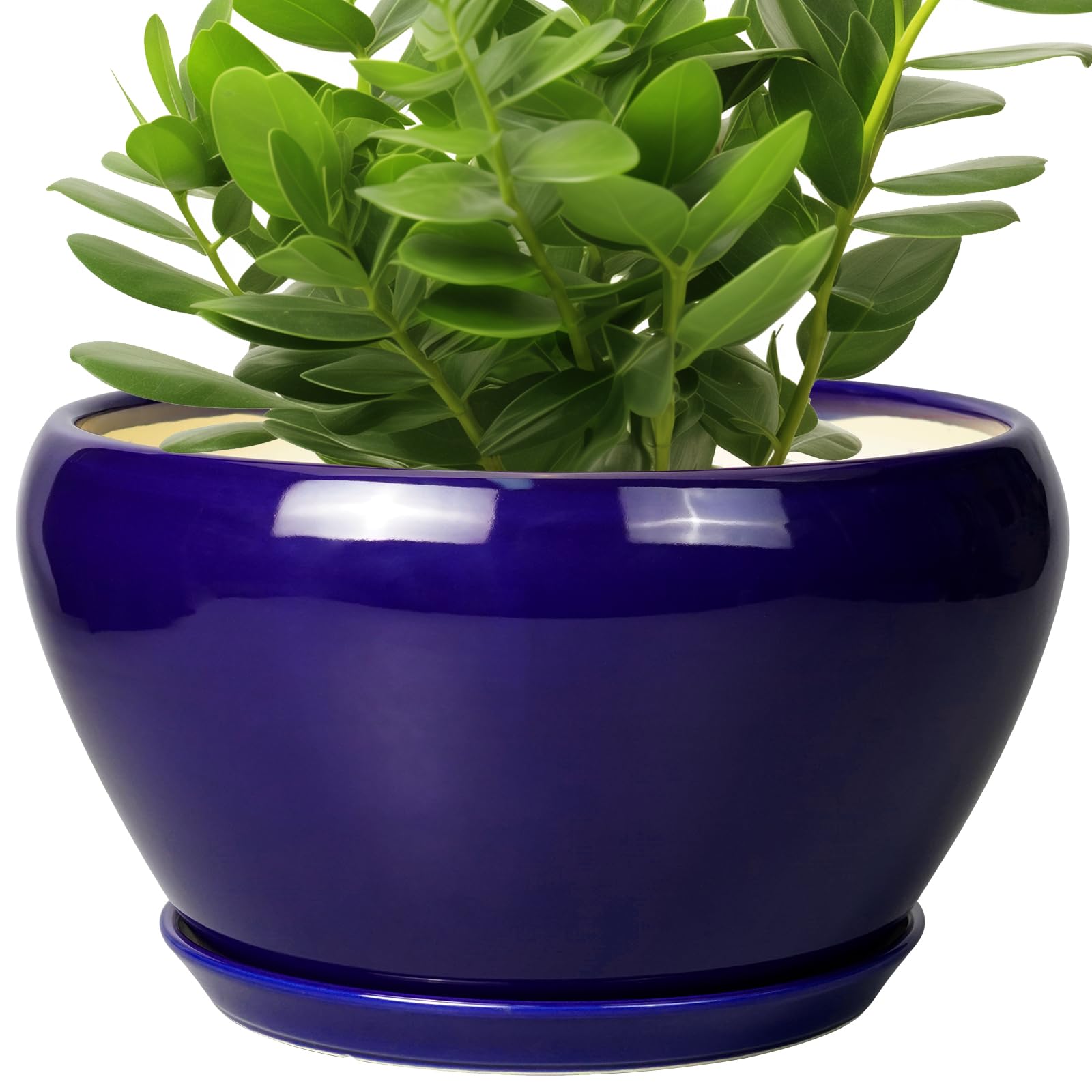 Amazon.com : Ceramicfor Ceramic Pot for Plants - 11 Inch Modern