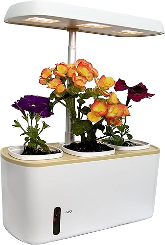 Maceta de cultivo de altura ajustable para interiores, jardín de hierbas con luz LED, temporizador automático, maceta triple con ribete de trigo