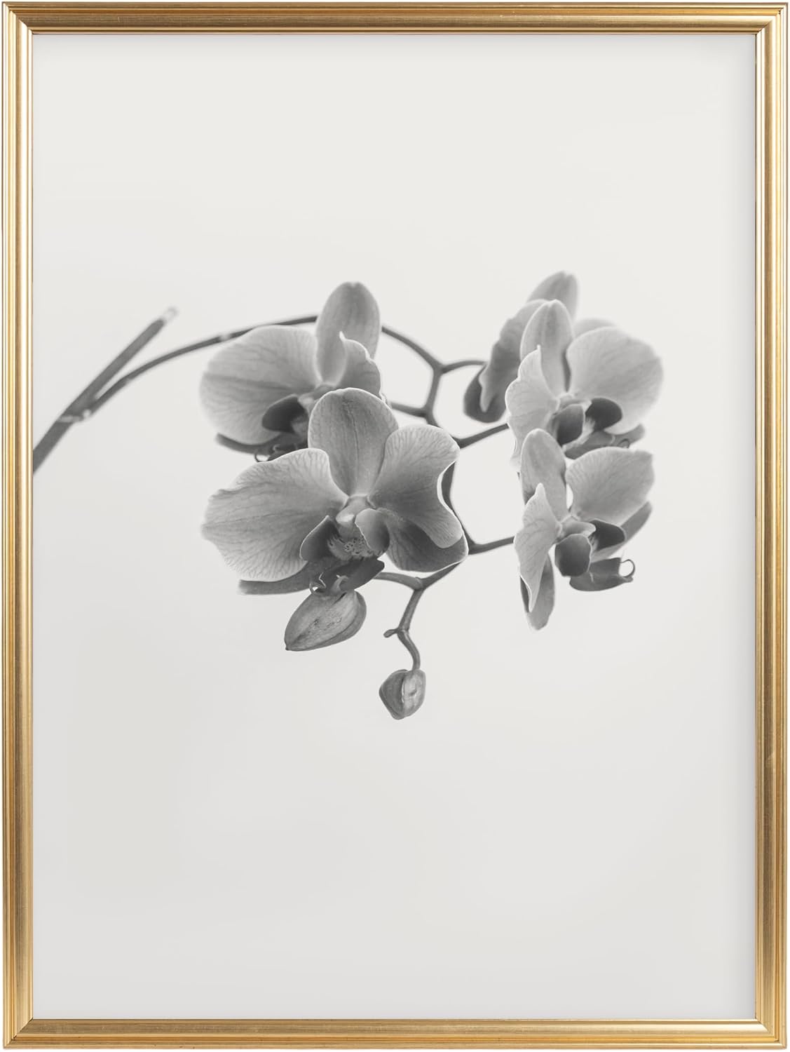 Kate and Laurel Adlynn Modern Rectangle Poster Frame, 20 x 26, Gold, Glam Large Photo Frame for Use as Movie Poster Display or Gallery Wall Piece in Living Room Wall Decor