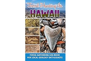Bartun Fossil Hunting in Hawaii