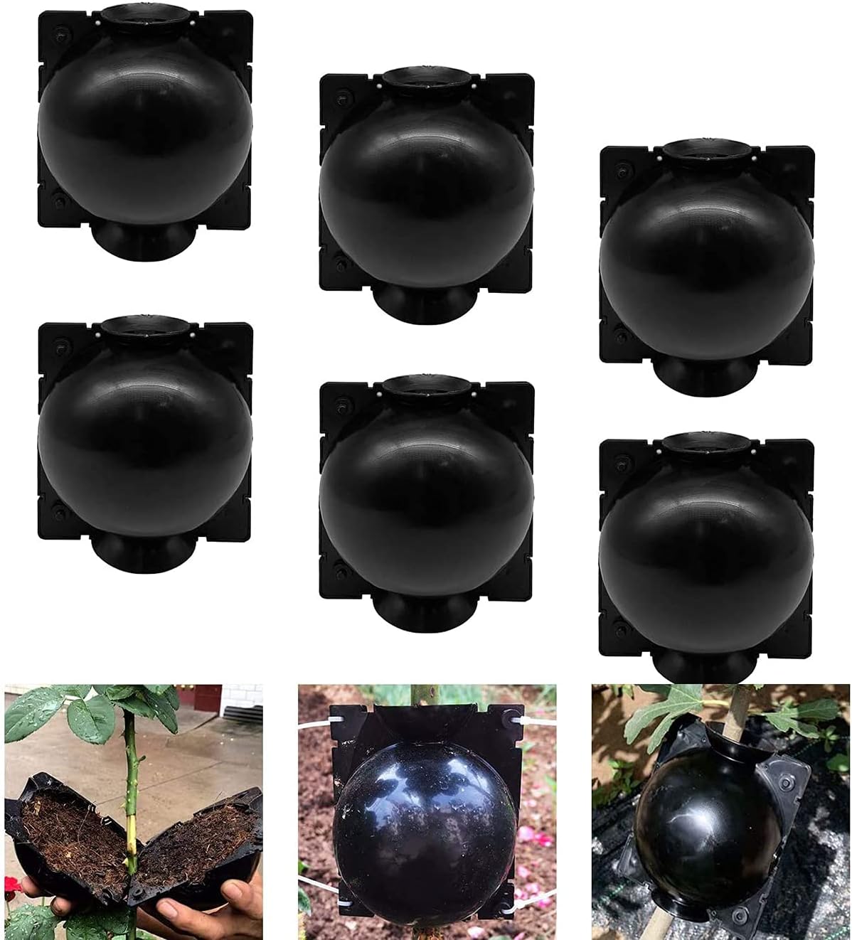 DELFINO Plant Root Growing Box Grafting Device 6Pcs, High Pressure Propagation Ball Box, Assisted Cutting Plants Rooting Growing Breeding for Reproduction Equipment (M)