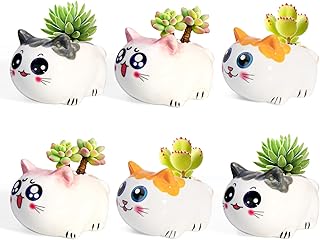 Cartoon Cat Succulent Pots Set of 6 - Small Ceramic Animal Planters with...