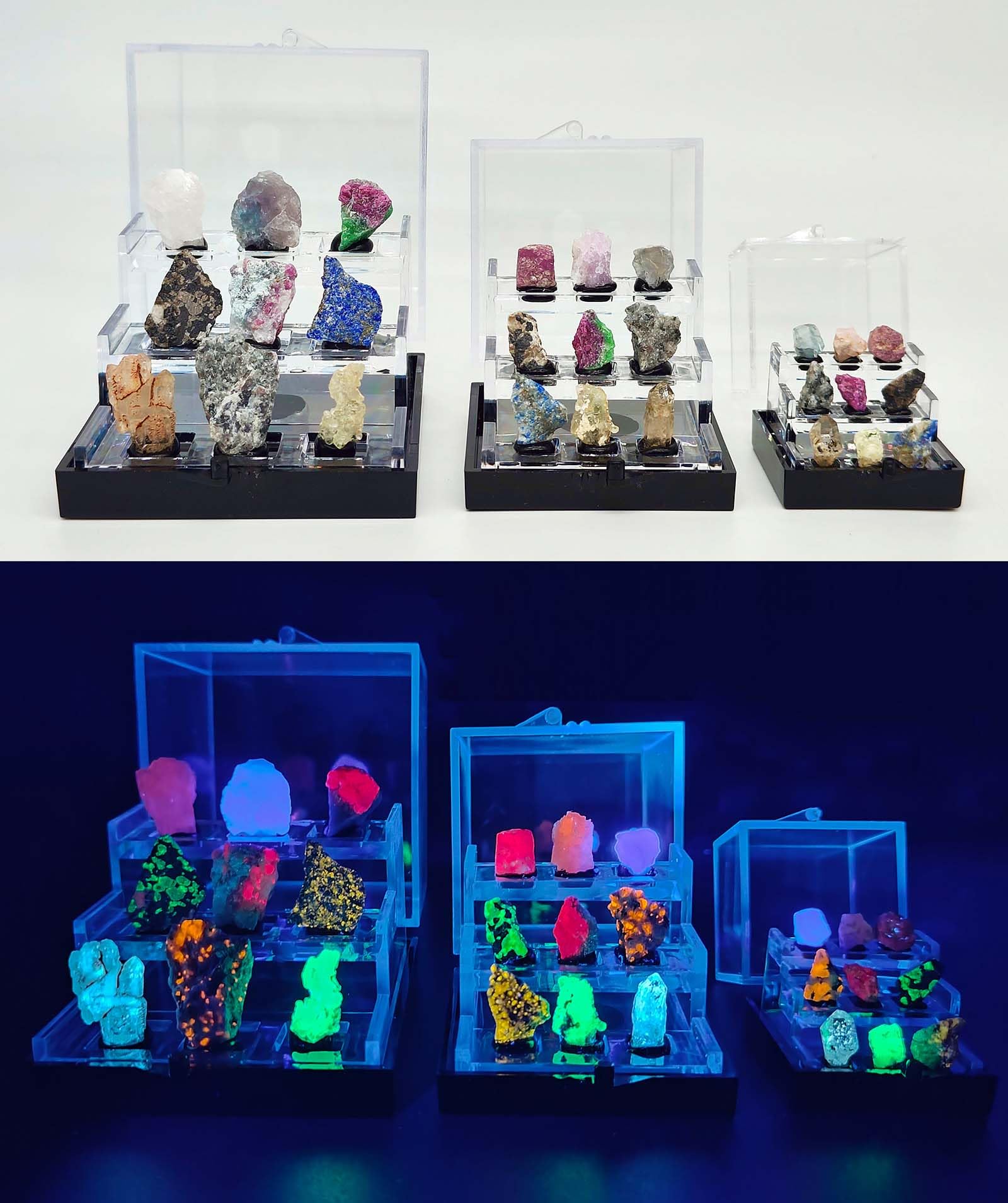 Set de especímenes minerales naturalmente Fluorescentes con luz UV365 – 9 Piedras Raras Que Brillan bajo luz UV – Muestras minerales Reales – Colección educativa y Decorativa (M)