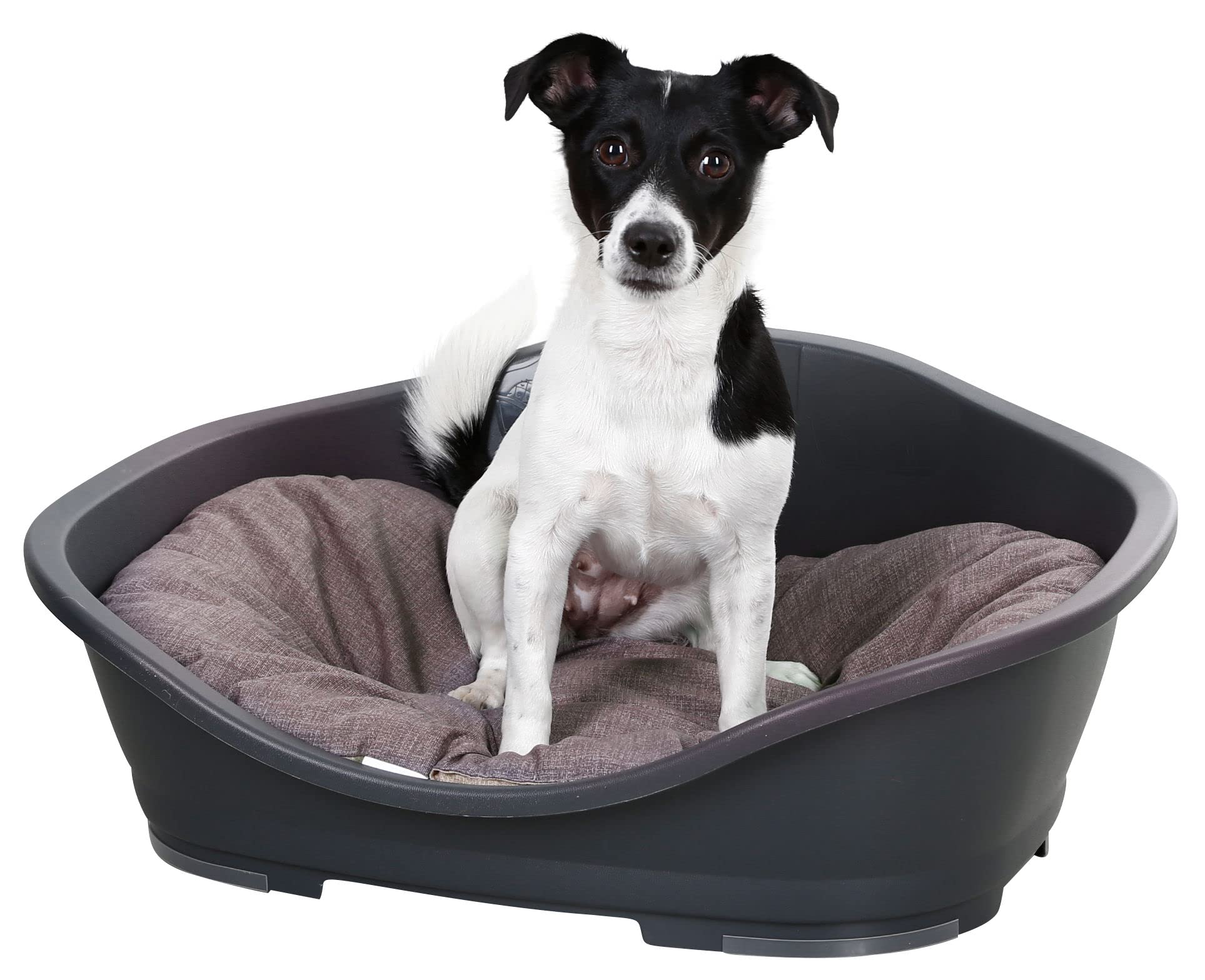 Kerbl Pet Cuscino Loneta, marrone/grigio, 58 x 43 cm
