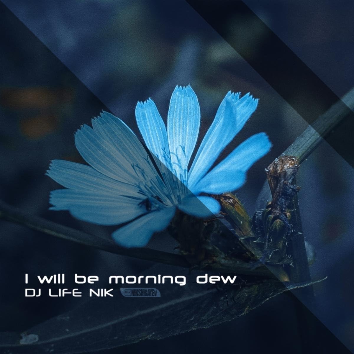 I Will Be Morning Dew