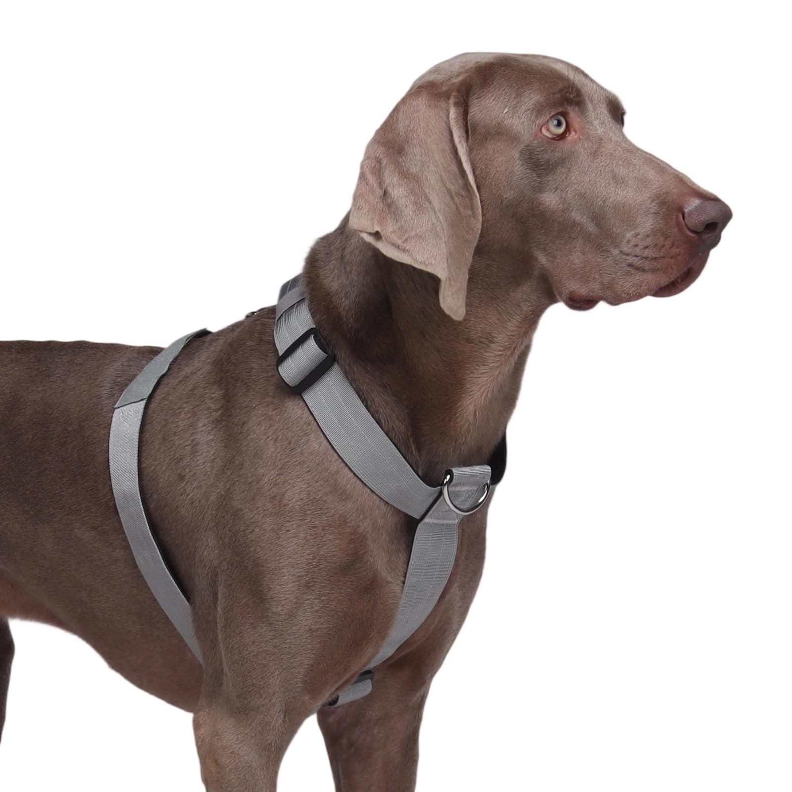 FEimaX Dog Harness Tactical Dog No Pull Harness Medium for Dog, Adjustable Breathable Pet Escape Proof Harnesses with Soft Padding for Training Hiking, Heavy Duty Vest Dogs Outdoor (Grey, M)
