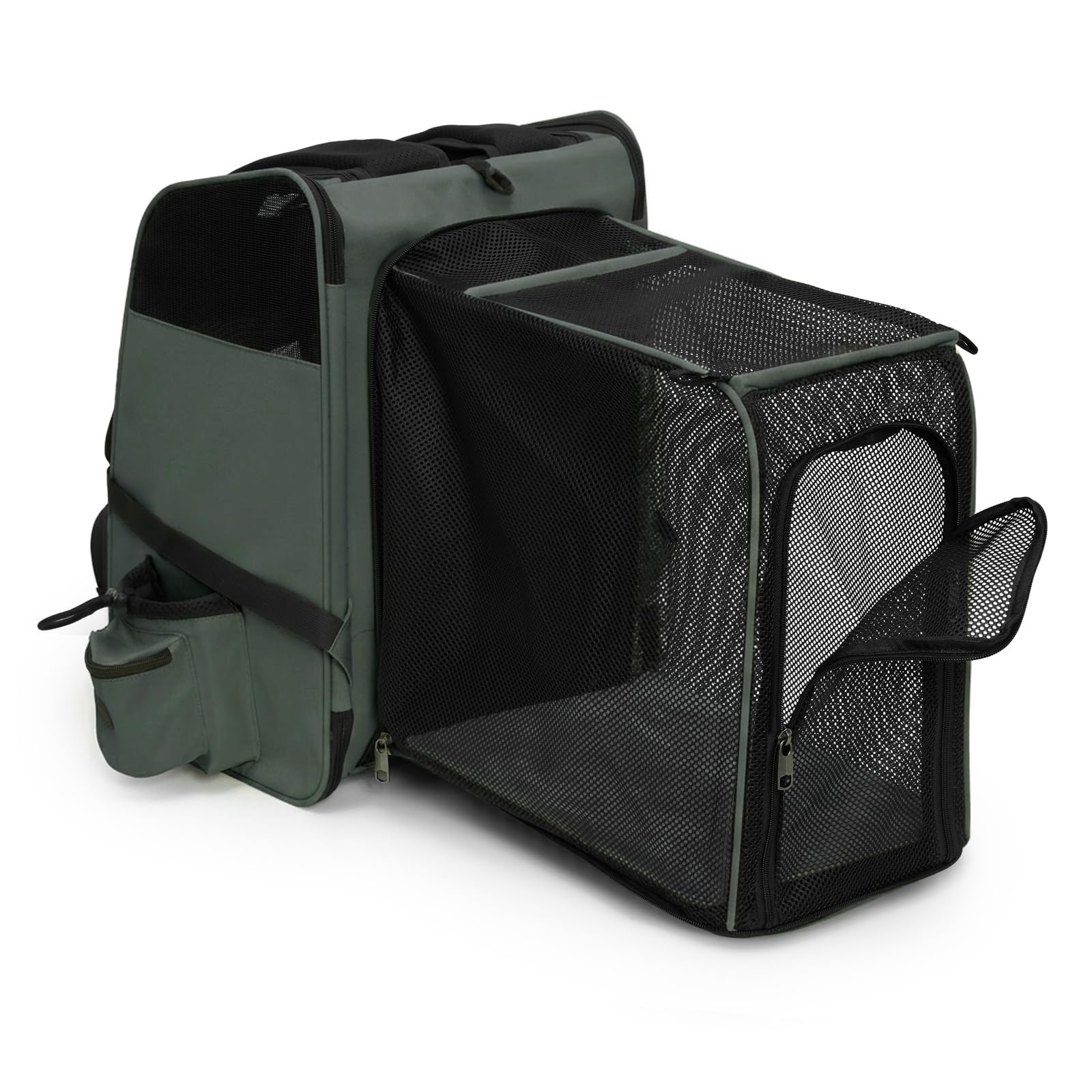 PETRIVE Haustier Rucksack für Katzen und kleine Hunde, erweiterbar, faltbar, mit verstärktem Netz und stabilem Boden, Leichter Transport-Rucksack für Reisen, Spaziergänge und Tierarztbesuche (Grün)