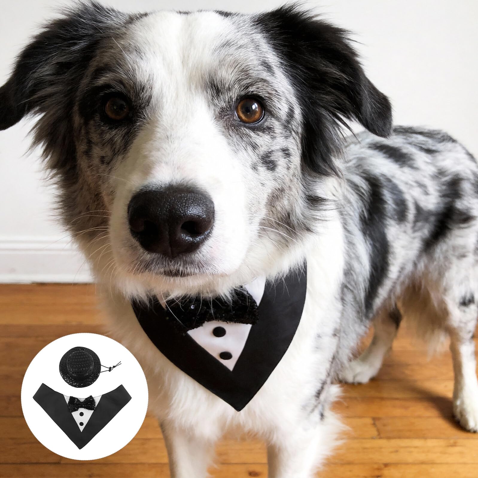 Veemoon Smoking pour Animaux de Compagnie 2 Pièces M Noir Comprenant Chapeau et Bandana, Costume Habillé pour Chiens et Chats, Accessoires de Cérémonie pour Fêtes et Mariages