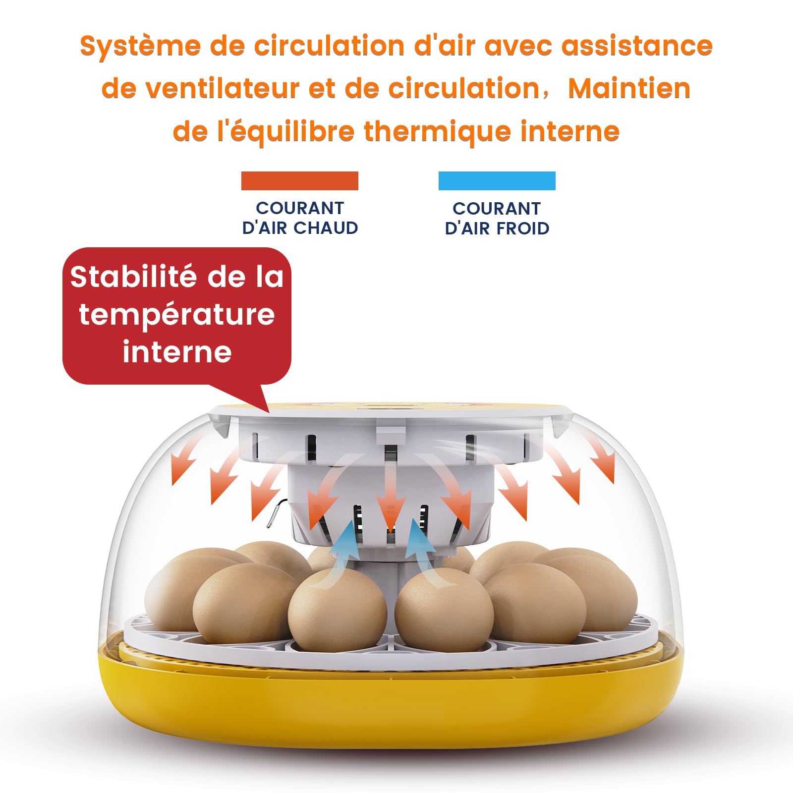 Couveuse Automatique Œufs, Incubateur pour Poussin avec Retournement Automatique des Œufs, Contrôle de la Température et Humidification Automatique, pour Oeufs de Poule, Caille et Oies (12 œufs)