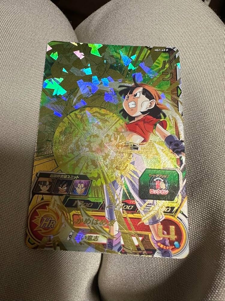 パンHG1-49 パンHG1-49