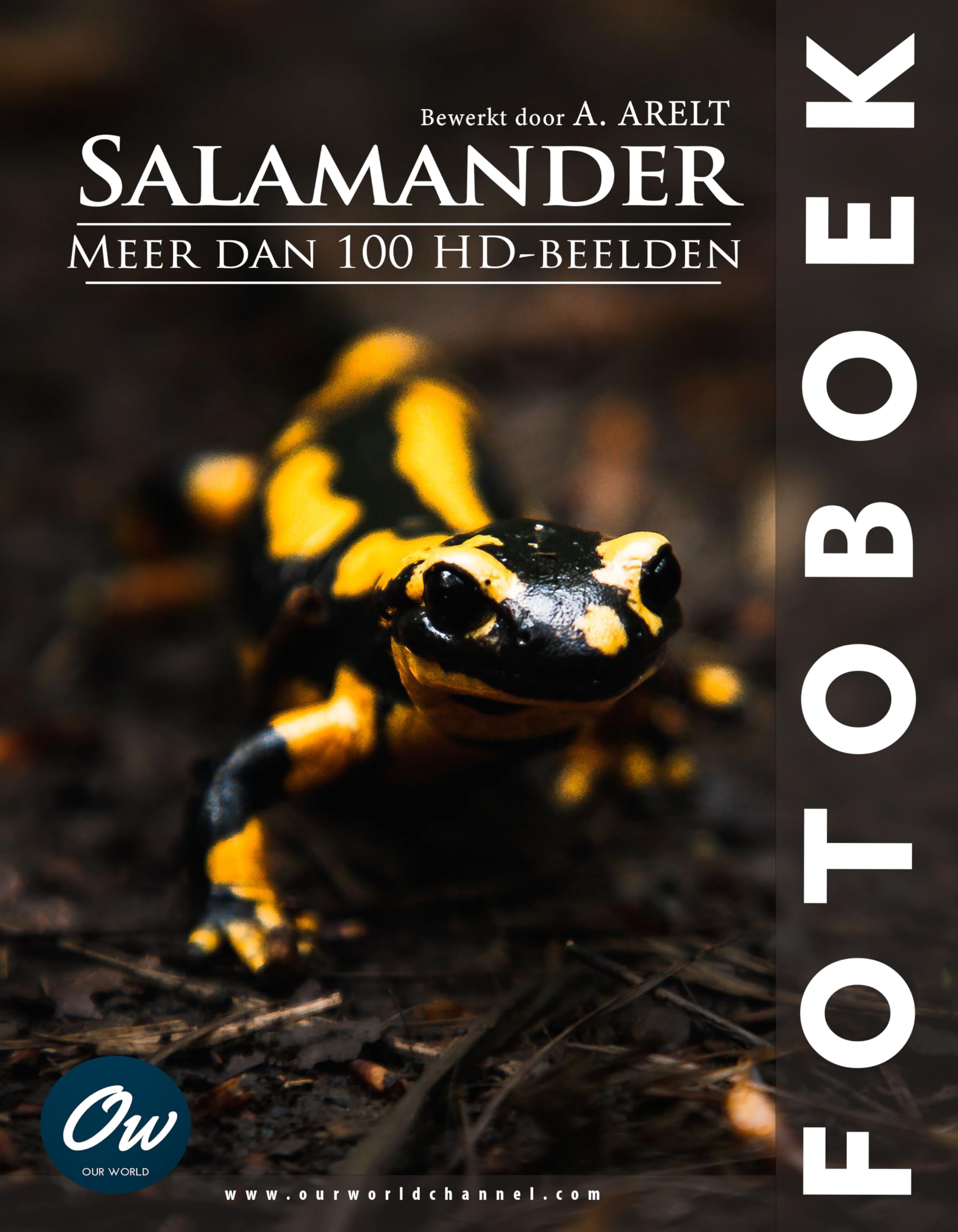 Salamander Fotoboek album photo déco de salon parfait pour vos moments de lecture