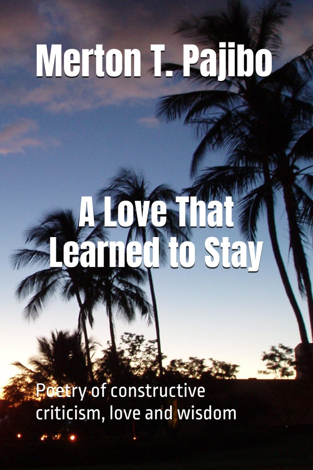 A Love That Learned to Stay: Poetry of constructive criticism, love and wisdom