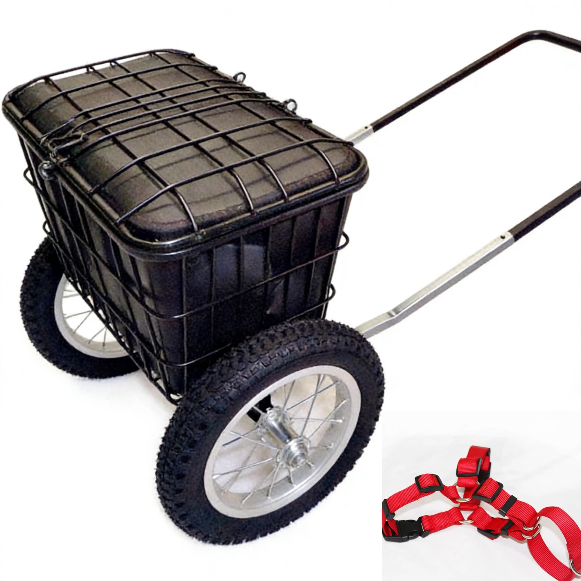 Chariot utilitaire pour chien avec harnais : la solution pour marcher sur le sable