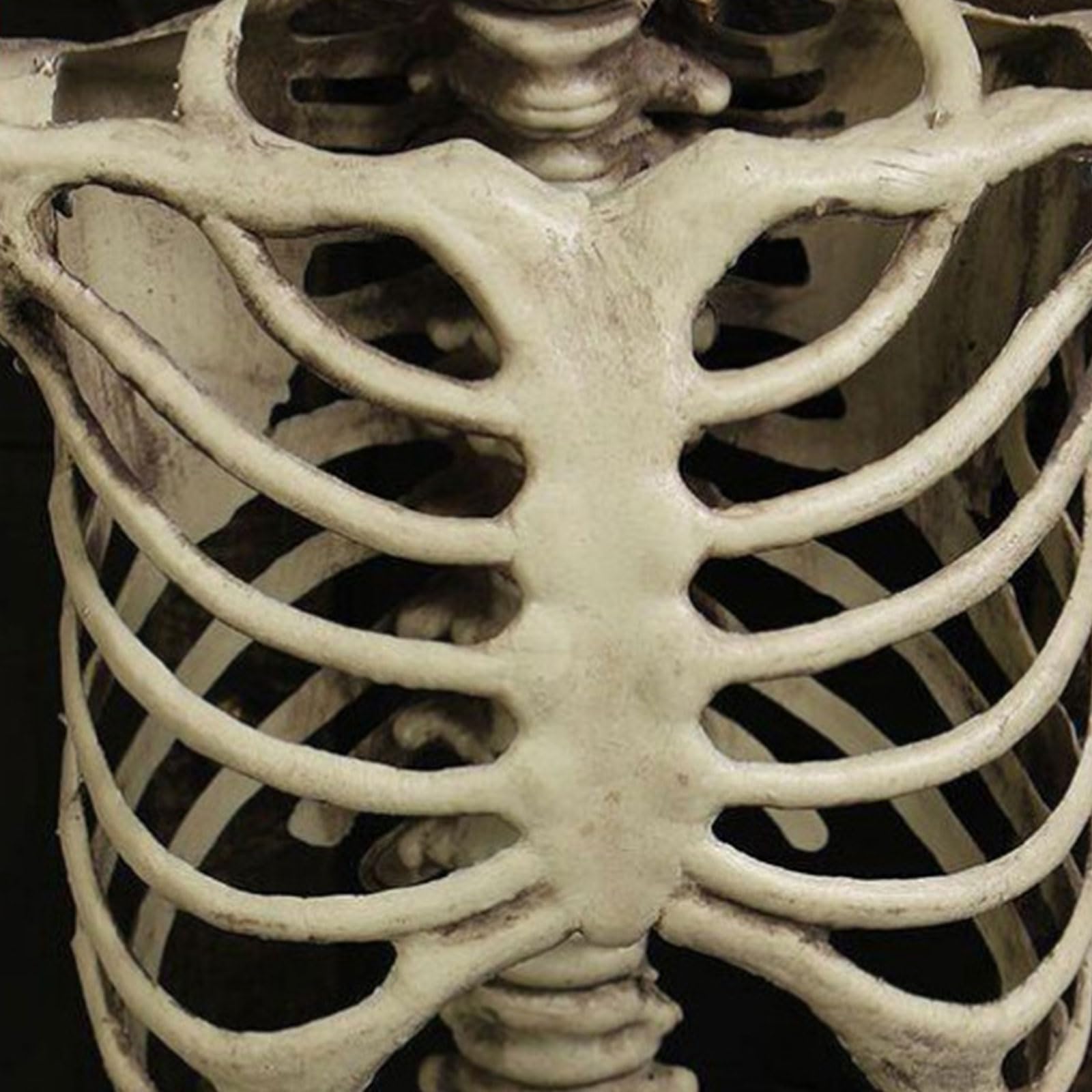 Esqueleto de halloween de tamaño real con conexiones flexibles, resistente para interiores/exteriores, para fiestas al aire libre, decoración del hogar