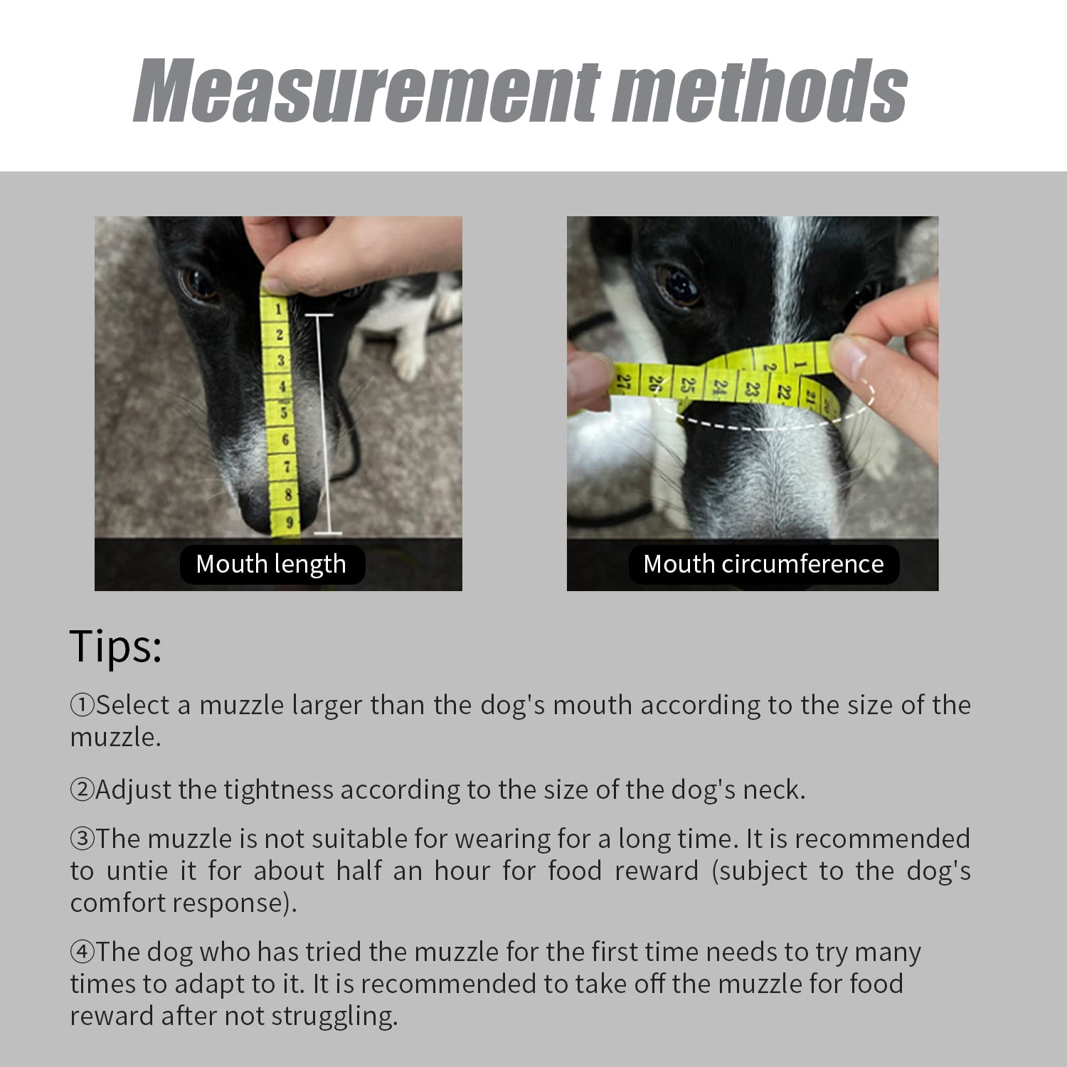 Muselière pour Chien, Museau en Silicone Souple pour Chiens, avec Bandeau Respirant en Maille et Nylon Résistant pour Petits,Moyens Et Grands Chiens ((Number 2)…)