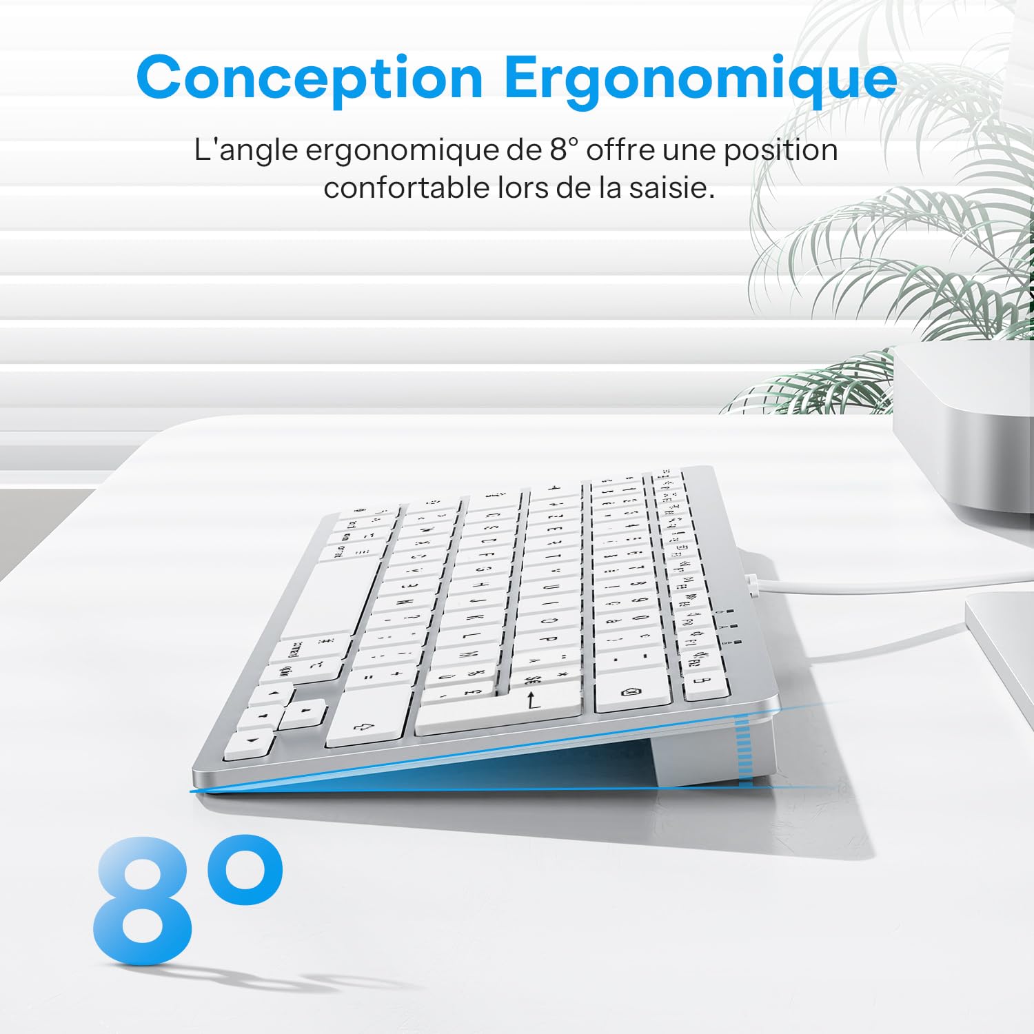 OMOTON Clavier Filaire pour Mac, Clavier Compact Portable à Double Interface USB et Type-C Compatible avec Apple Mac Pro/Mini, MacBook Pro/Air, iMac Pro, AZERTY Français, Argent