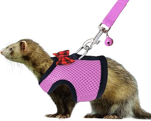 Rypet Small Animal Harness and Leash - Soft Mesh Pet