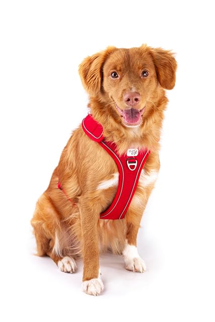 Foto 6 de 7 de Belka Harness Adjustable Neck Black 4XL