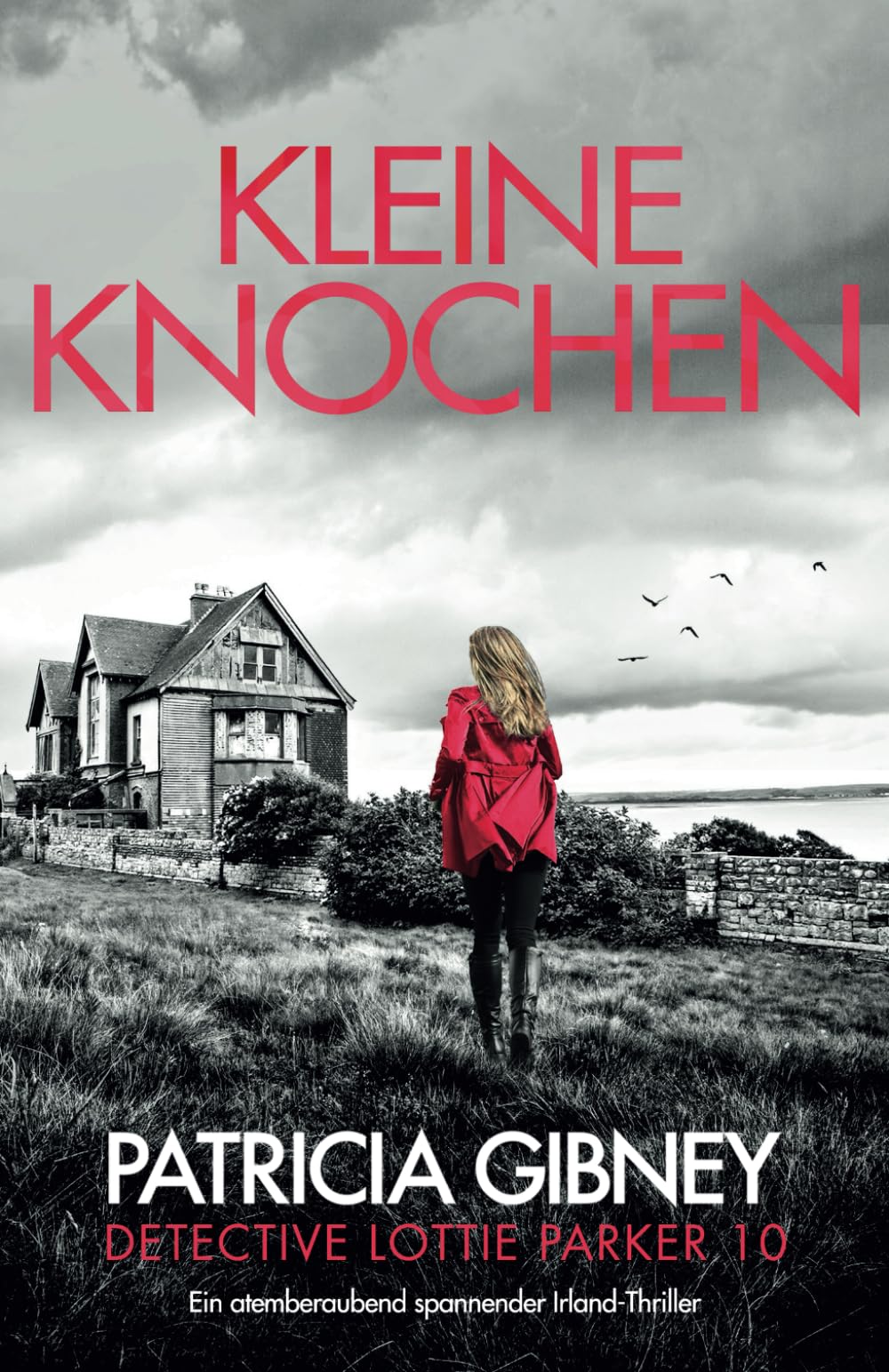 Kleine Knochen: Ein atemberaubend spannender Irland-Thriller (Detective Lottie Parker)