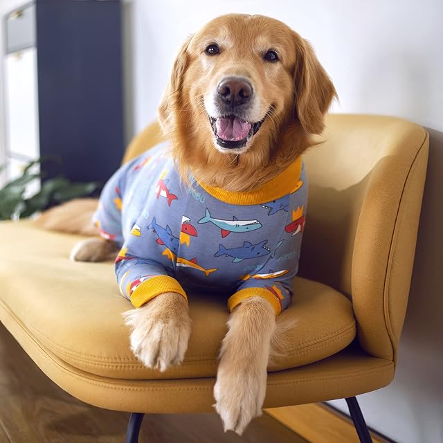 Foto 2 de 7 de Traje de rehabilitación para Perros postoperatorios, Suave, de Manga Larga, alternativas cónicas, antifugas