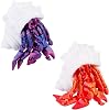 2PCS 3D Printed Animals Hermit Crab Fully Articulated Flexible Crustacean Toys, Cute Crab Animal Toys, Stress Relief Fidget for Anxiety, Unique Desk Decor for Home Office