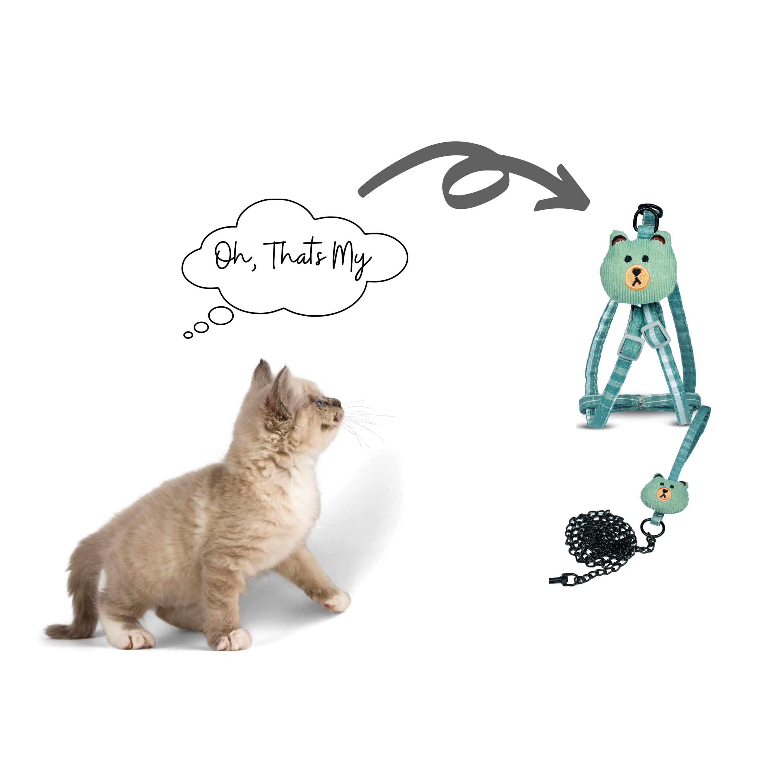 Foodie Puppies Durable Breathable Safe Strong Matching Cotton Adjustable Harness and Leash Set for Kittens and Cats (Color May Vary)