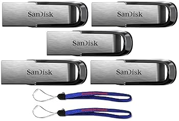 Amazon.com: SanDisk Ultra Flair USB (5 Pack) 3.0 64GB Flash
