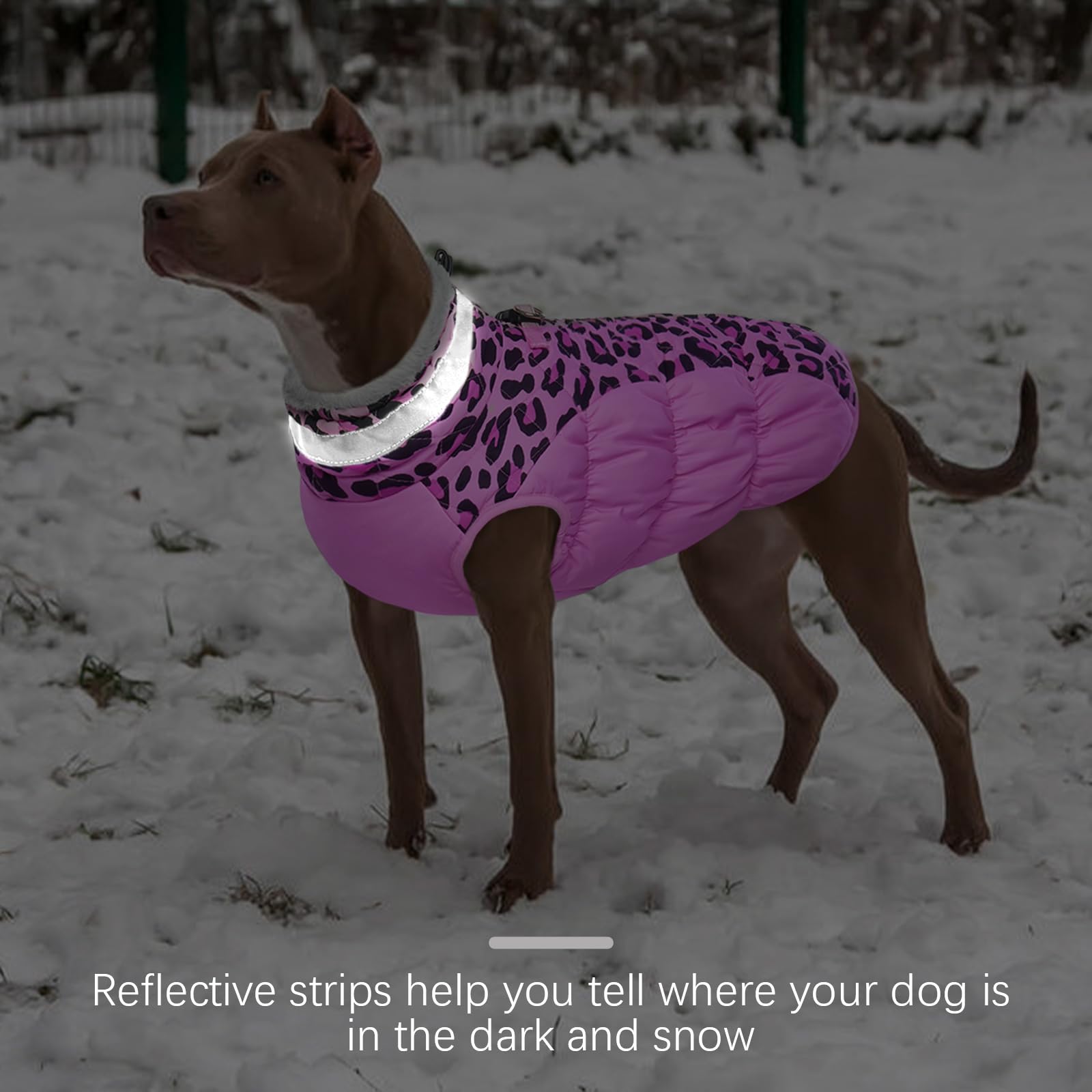 FUAMEY Abrigo de invierno para perro, chaqueta para clima frío con cremallera, arnés integrado, chaleco acolchado, resistente al agua, reflectante, leopardo rosa, S/M/L/XL