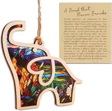 Birthday for Women Friendship Elephant Ornament with Story Card