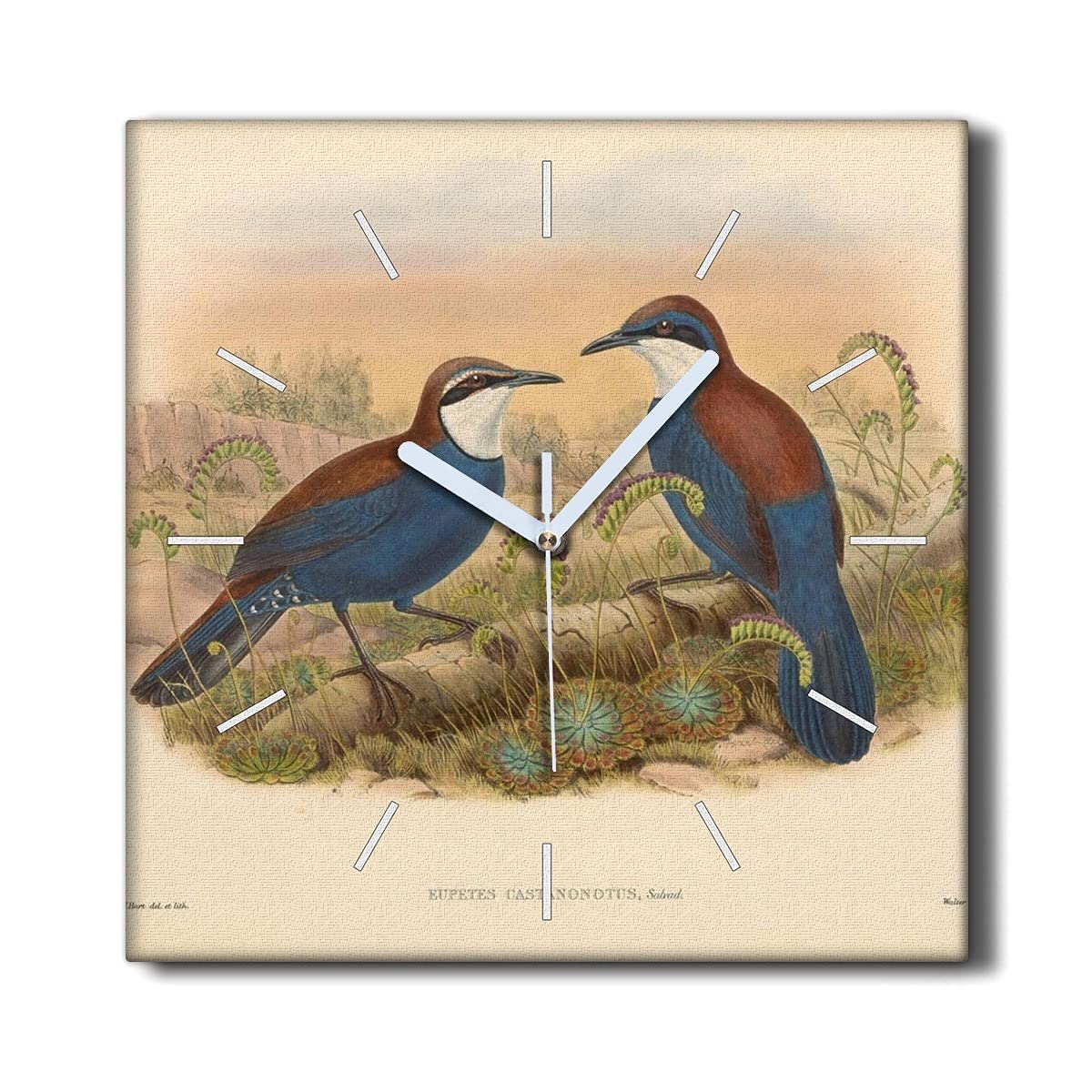 Horloge sur Toile 30x30cm Coloray Silencieuse contre le Bruit de Salon