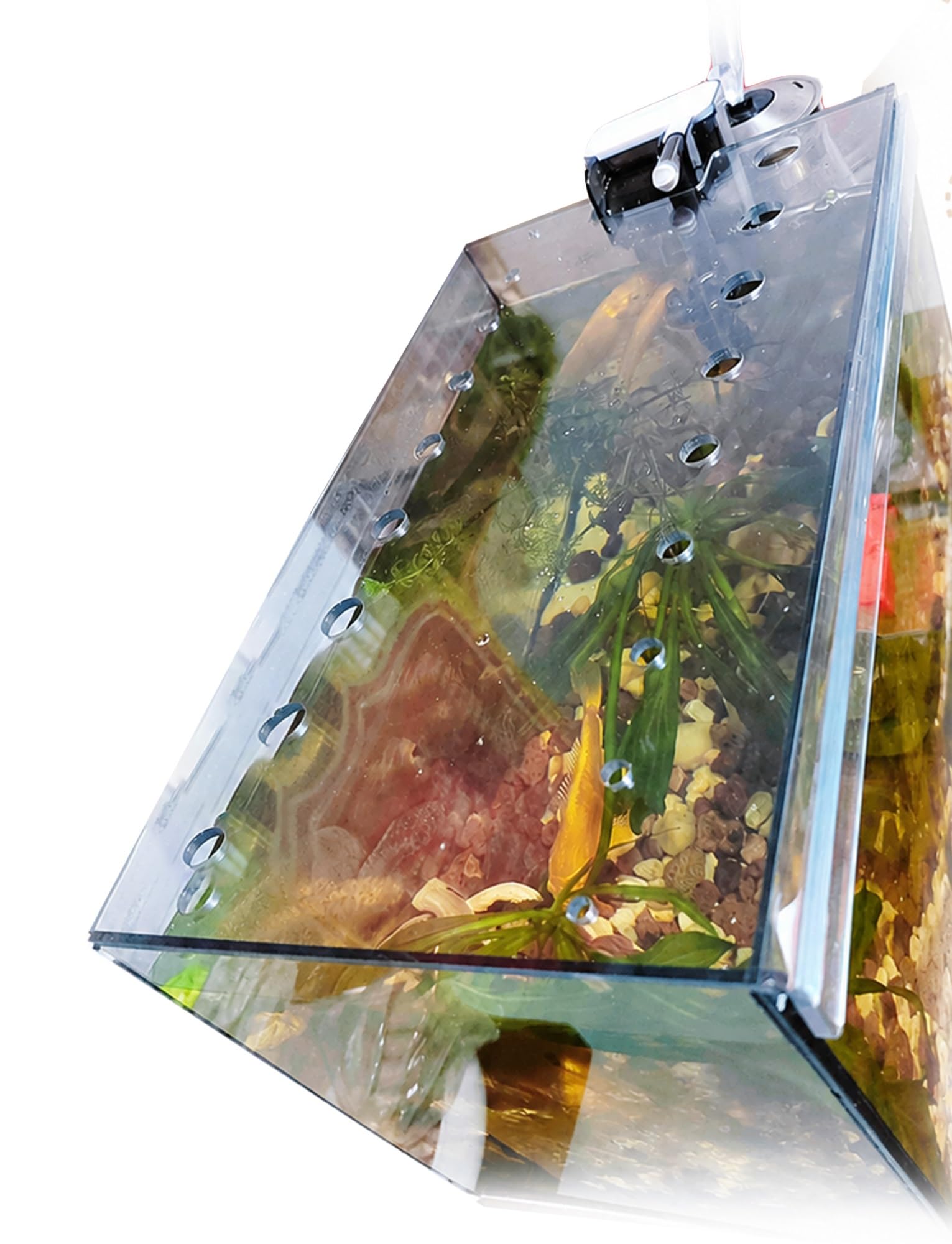 Copertura for Acquario in Acrilico