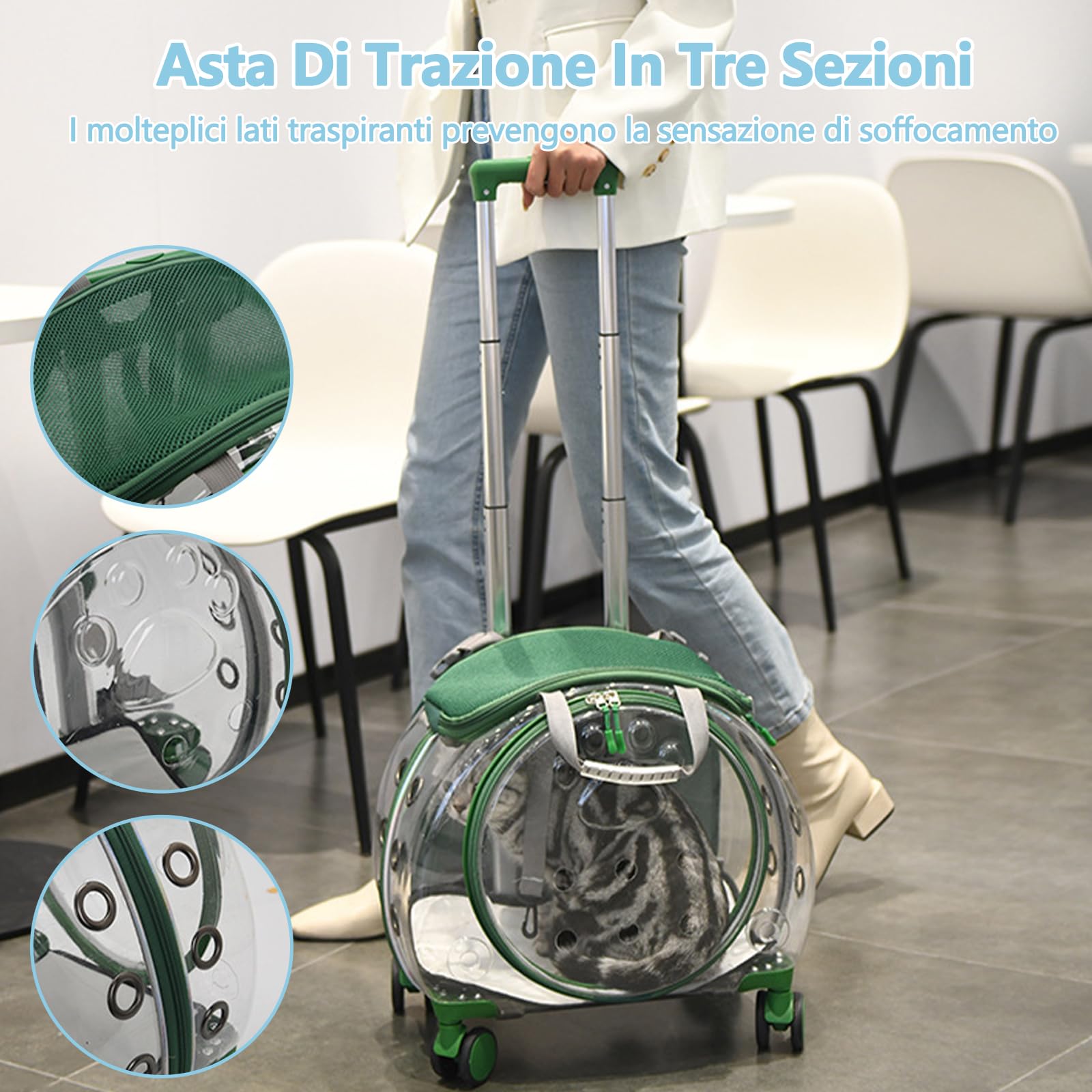 Galatée Borsa Da Viaggio Per Gatti, Schienale Rimovibile e Traspirante, Ampia Apertura, Interno Spazioso, Borsa Trolley Trasparente Per Cani e Gatti (Verde)