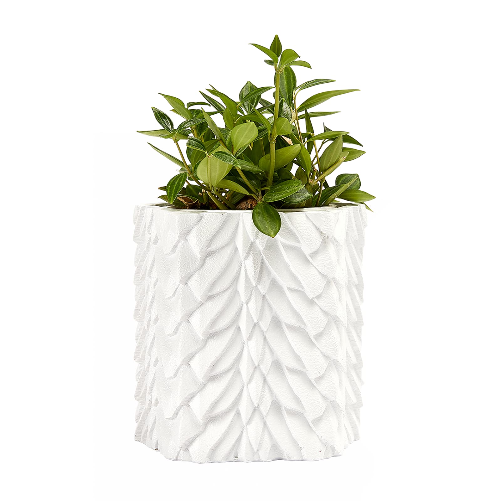 Amazon.com: Dragon Scales Planter Pot & Vase Decanter - GOT