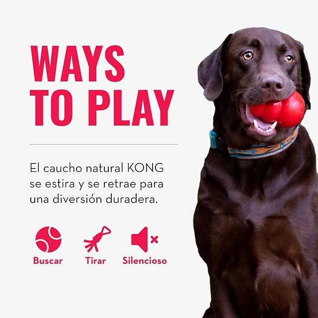 Foto 5 de 8 de KONG Tug Juguete de Caucho Natural para Perros, Talla Mediana/Grande