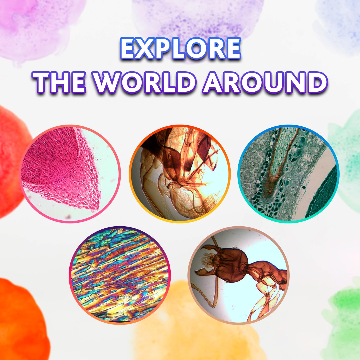 Levenhuk Rainbow 2L Plus Azure Kit Stem de Laboratorio Doméstico para Niños con Microscopio Portátil de 640x, Guía de Experimentos Ilustrada, Muestras Preparadas y Herramientas Científicas (EN)