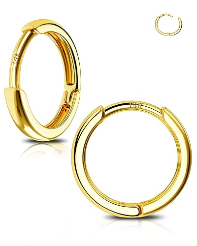 14K Gold Tiny Hoop Earrings Huggie Hoop Earrings 20G Small Endless Hinged Hoops for Earlobe 6mm 8mm 10mm Septum Hoop Septum Ring Cartilage Helix Earrings Nose Hoop for Women Men - gold-pair - 0.8*12mm